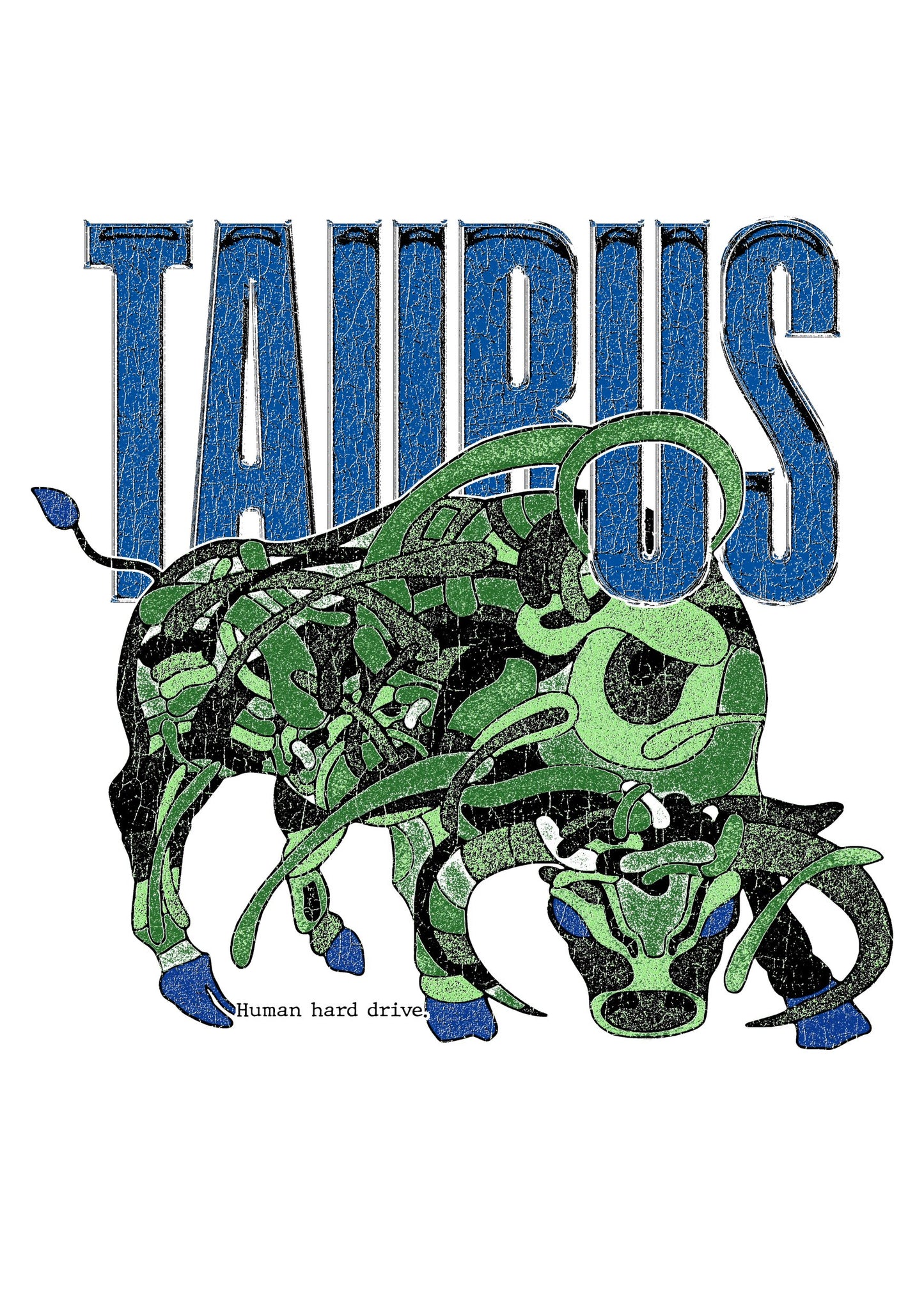 Taurus T-Shirt